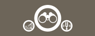SQL Discovery and Tuning Suite